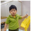 치자로 물들이기 이미지