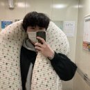 레오파트，클레오파트라 이미지