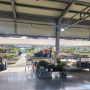 반남국화 영농조합법인 | 창원 식물 파는 곳 동창원식물원영농조합 공기정화식물 구매후기