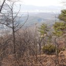 종지봉(이매동) Daum카페
