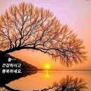 산그리고길
