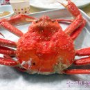 유달식당 이미지