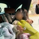 뽑아보자 충효점 | 5살 아이랑 경주&amp;포항 여행 2박 3일::1일차 용산 회식당/경주 켄싱턴 리조트/뽀로로 아쿠아 빌리지...