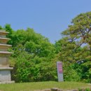 용천리 오층석탑 이미지