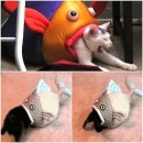 잡아잡아 이미지