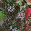 경천식물원 이미지