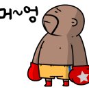 BOXING STORY 네이버블로그