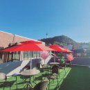 올리브 호스텔 이미지