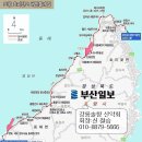 2019년 8월23일 포항 호미반도 해안둘레길(3코스~2코스)트레킹(466회) 이미지