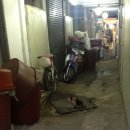 파도 넘어 희망으로 이미지