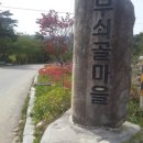 성산면사무소 버스정류장 이미지