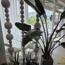 디저트39병점복합타운점 | 병점역 디저트카페 디저트39 병점복합타운점 크레이프 케이크 원픽