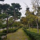 진월망덕포구 먹거리타운 이미지