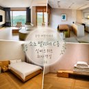 대명전자 | 홍천 비발디파크 소노펠리체 실버스위트 C동 취사 객실 후기 (구조·비품 정리)