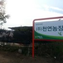 김근태농장 이미지