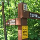 태백고원 700 산소길 이미지