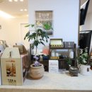 허진환한의원 이미지