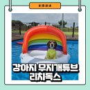 독스가드 | 강아지 무지개 튜브 리치독스 사용후기
