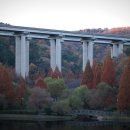 용소웰빙공원 이미지