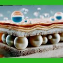 주식회사 천도 이미지