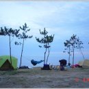 서해바다 이미지