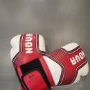 옥포mma | 노바복싱 16온스 글러브 착용후기