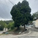 남구미로 | 구미 동태탕맛집 남구미토종식당