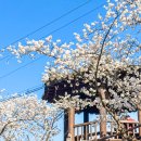 나무아래서(푸드트럭) 이미지