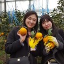 박선미 농장 네이버블로그