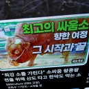 싸움소 이미지