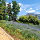 화순남산공원 공중화장실 이미지