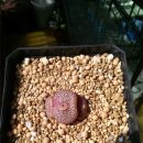 커피내음 이미지