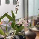 행복이 있는 정철학 이미지