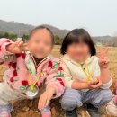 산내들유치원 이미지