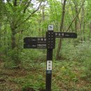 하늘재민박 이미지