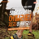 머렐도 이미지