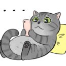 엉클스캣 이미지