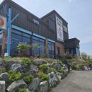 파랑새쭈꾸미와털레기 이미지