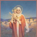 9월 8일 복되신 동정 마리아 탄생 축일 「성모님을 통하여 예수님께로」반영억 라파엘 신부 이미지