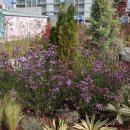 삽교호 관광지 이미지