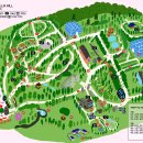 카멜리아힐 이미지