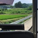 금천1리마을회관 이미지