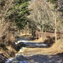 뜬봉샘생태공원 | [전북 장수 애견동반여행] 뜬봉샘 생태공원 👉 자작나무숲 꼭 가볼만한 곳