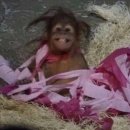 네일리빈 이미지