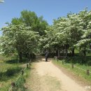 교항1리 이미지