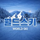 강촌 | 엘리시안강촌 스키강습 비용 추천 후기