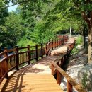 힐링건강랜드 이미지