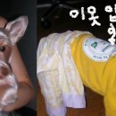 올림픽공원 북2문 이미지