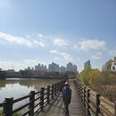 첨단중앙로182번길 이미지