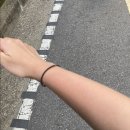 점재화장실2 | 강원도 정선 :: 백운산(동강) 등산 최단코스(점재마을 점재교~정상)